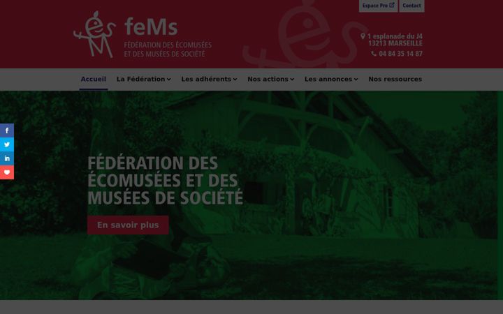 Screenshot of fems.asso.fr