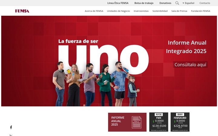 Screenshot of femsa.com