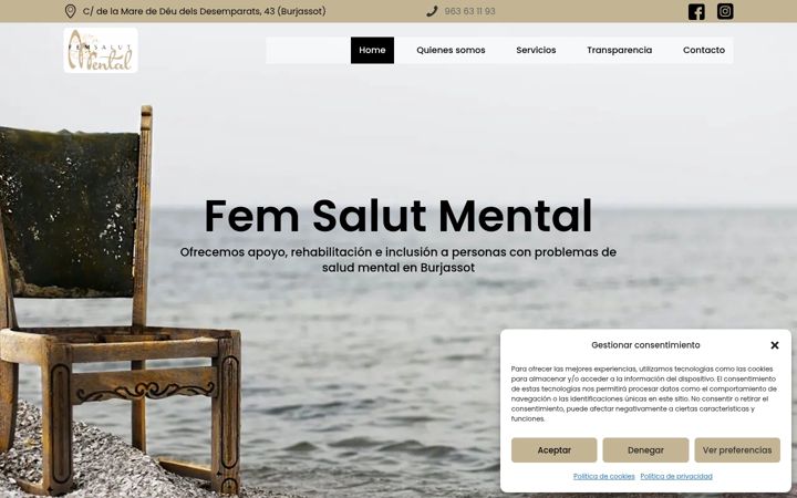 Screenshot of femsalutmental.org