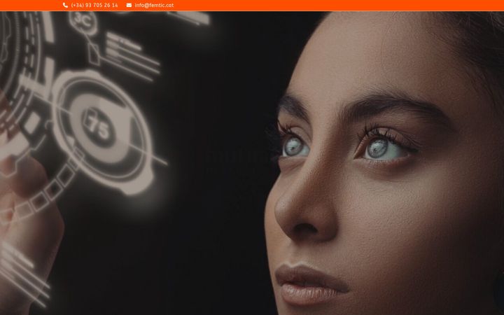 Screenshot of femtic.cat