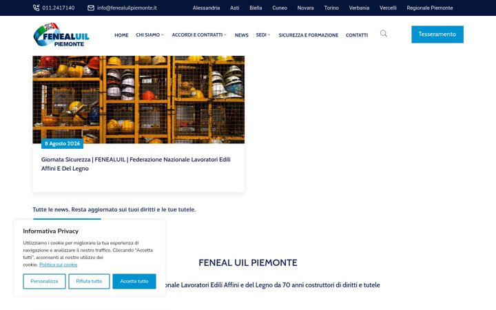 Screenshot of fenealuilpiemonte.it