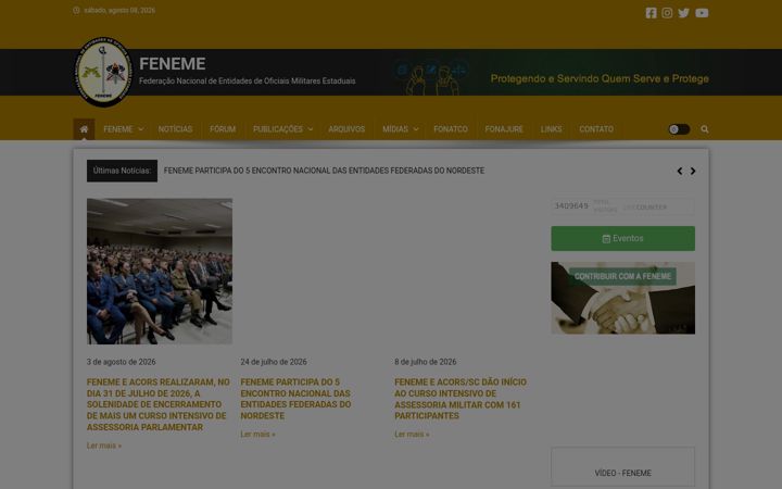 Snímek obrazovky feneme.org.br