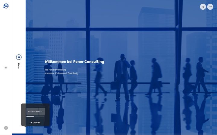 Screenshot of fenerconsulting.ch