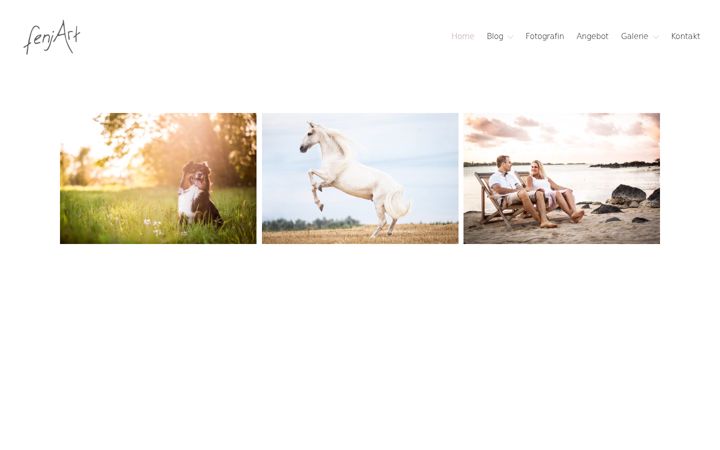 Screenshot of fenjart.com