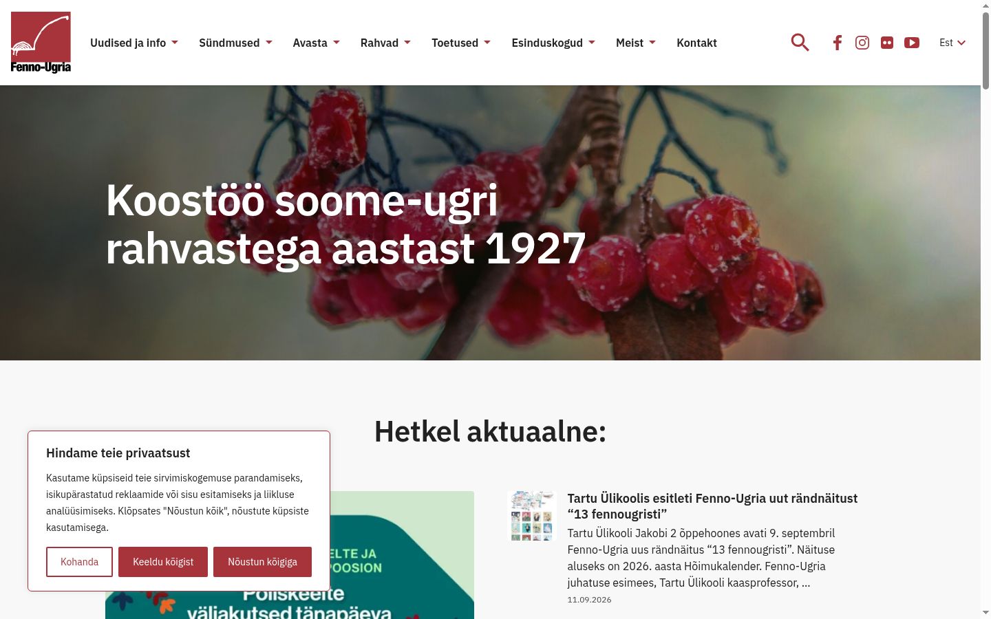 Skærmbillede af samtykkebanneret, som det blev vist før nogen interaktion