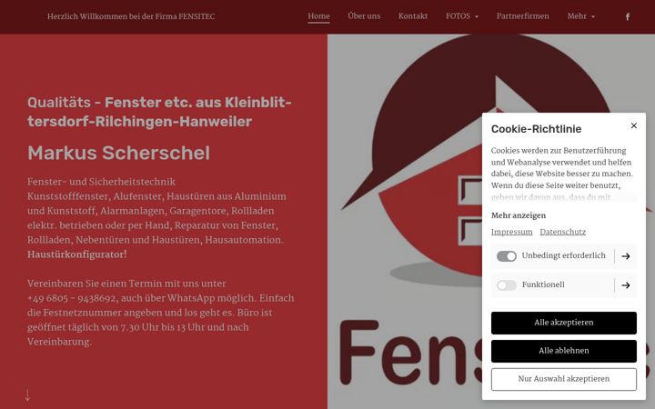 Zrzut ekranu fensitec.de