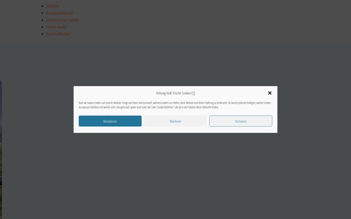 Screenshot of fensterkaufen.eu