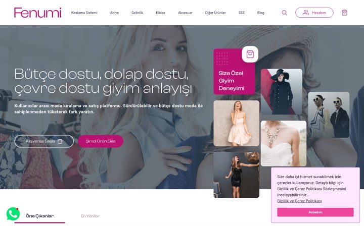 Screenshot of fenumi.com