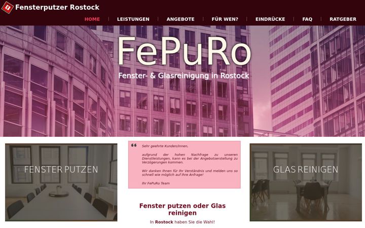 Screenshot of fepuro.de