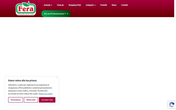 Screenshot ta' feragroup.it