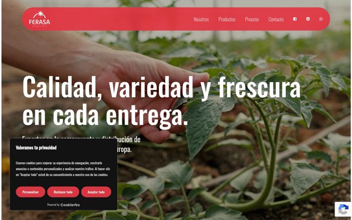 Screenshot of ferasafrutas.com