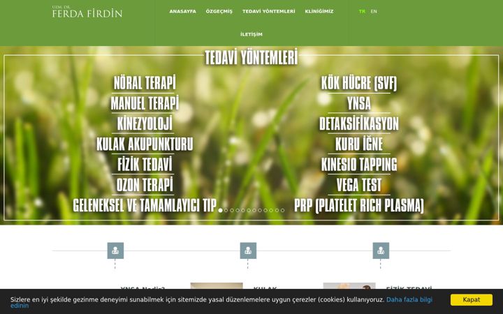 Screenshot of ferdafirdin.com