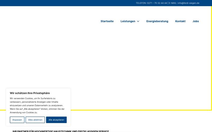 Screenshot of ferdi-siegen.de