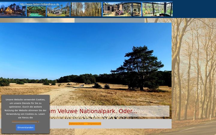 Screenshot of ferien-hollandhaus.de