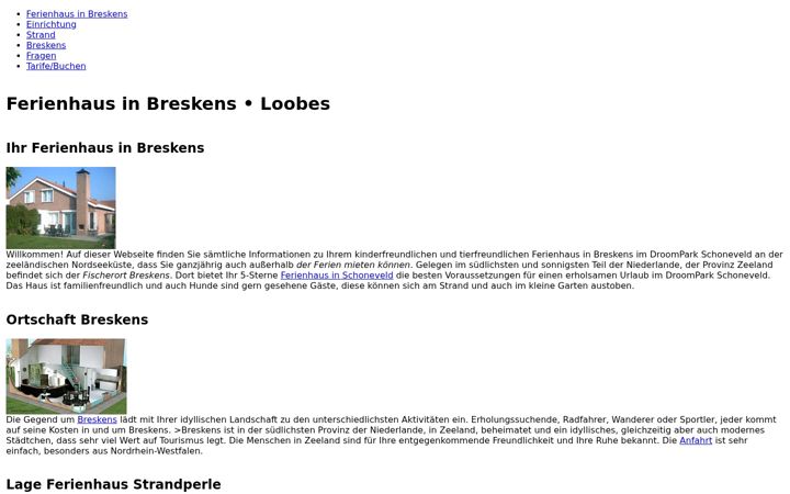 Screenshot of ferienhaus-loobes.de