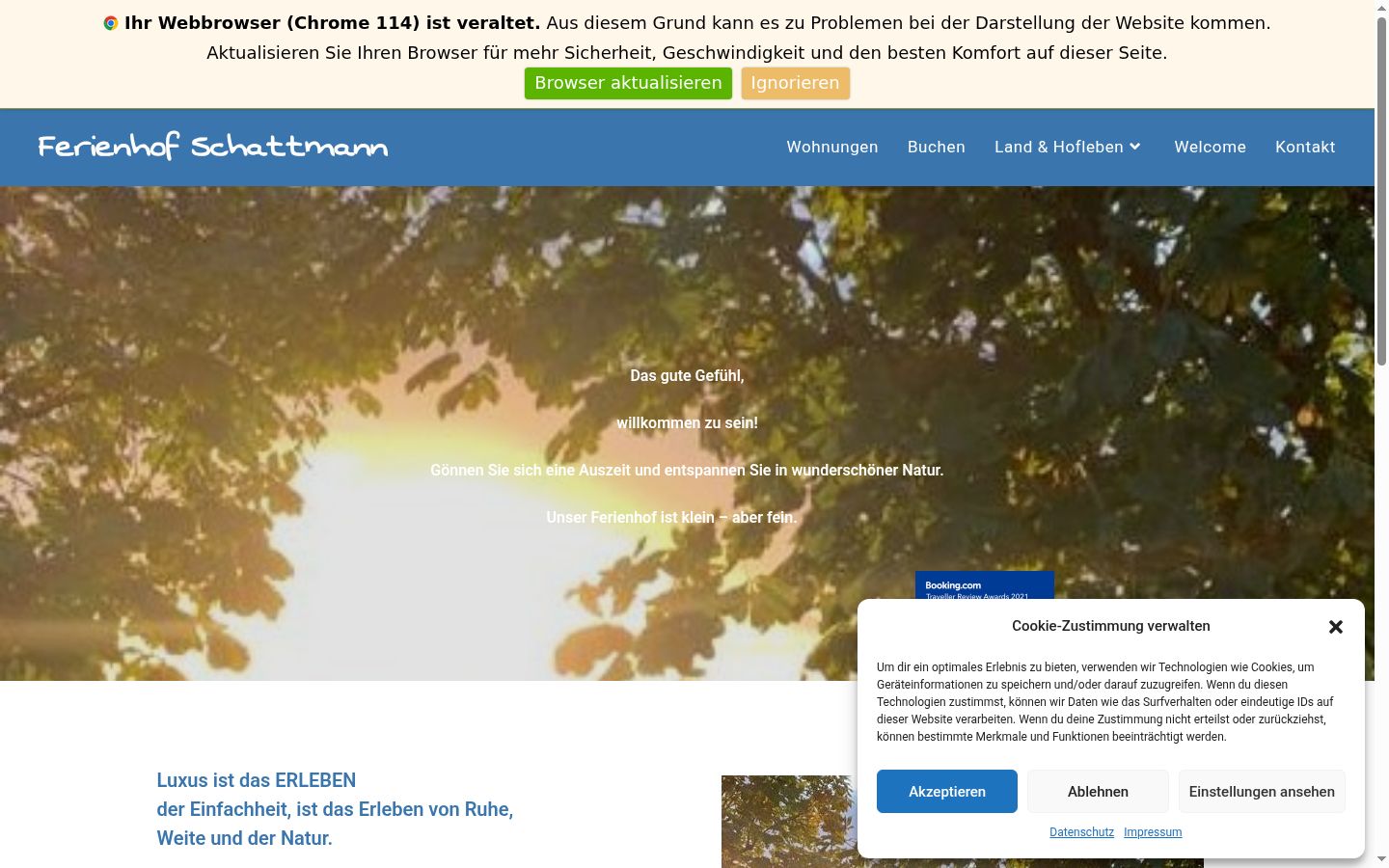 Screenshot des Einwilligungsbanners vor jeglicher Interaktion