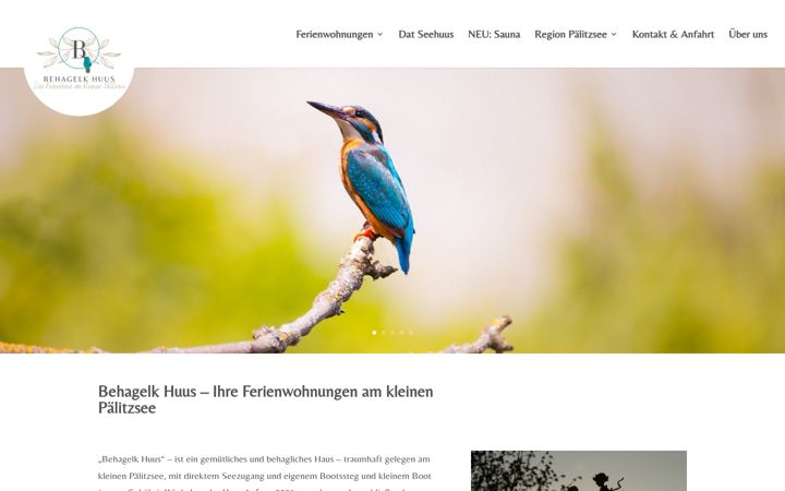 Screenshot of ferienhuus-paelitzsee.com