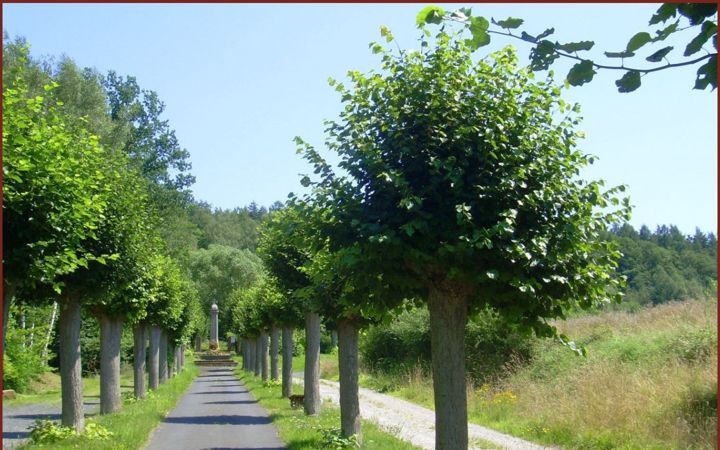 Screenshot of ferienpark-wehrda.de