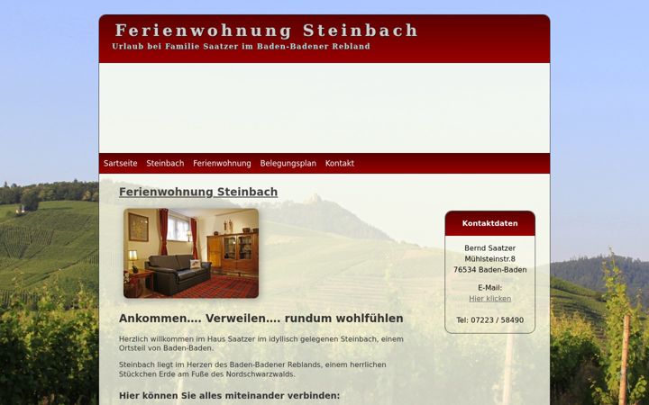 Screenshot of ferienwohnung-baden-baden-steinbach.de