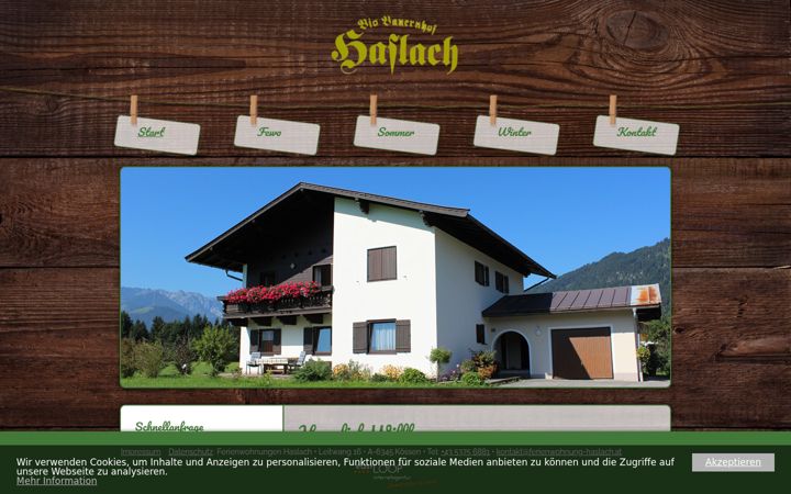 Screenshot of ferienwohnung-haslach.at