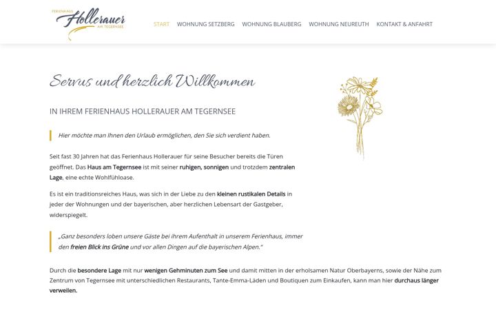 Screenshot of ferienwohnung-hollerauer.de