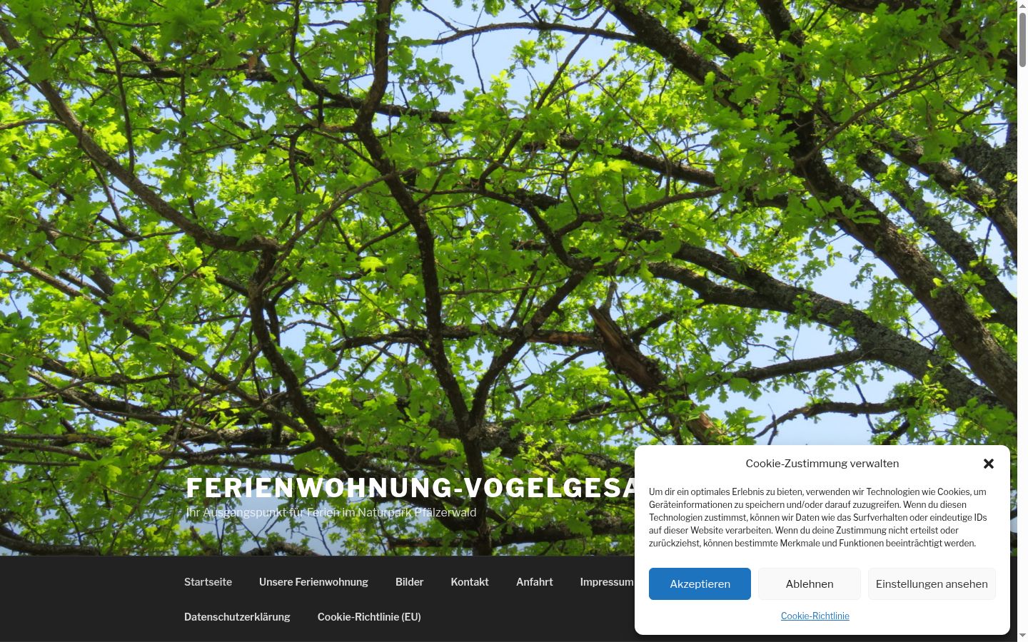 Screenshot des Einwilligungsbanners vor jeglicher Interaktion
