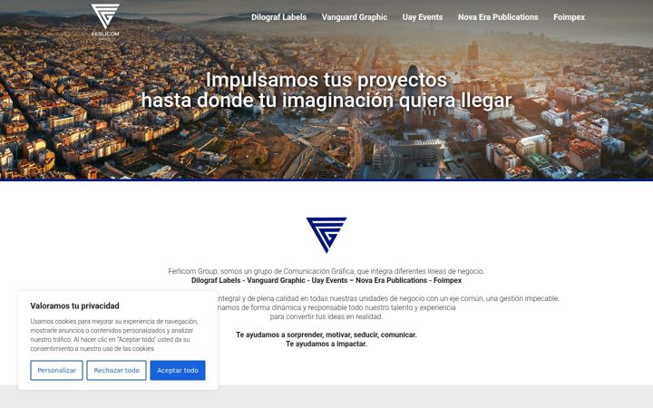 Screenshot of ferlicom.com