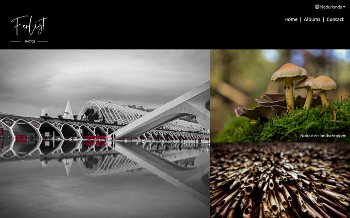 Screenshot of ferligtphotos.nl