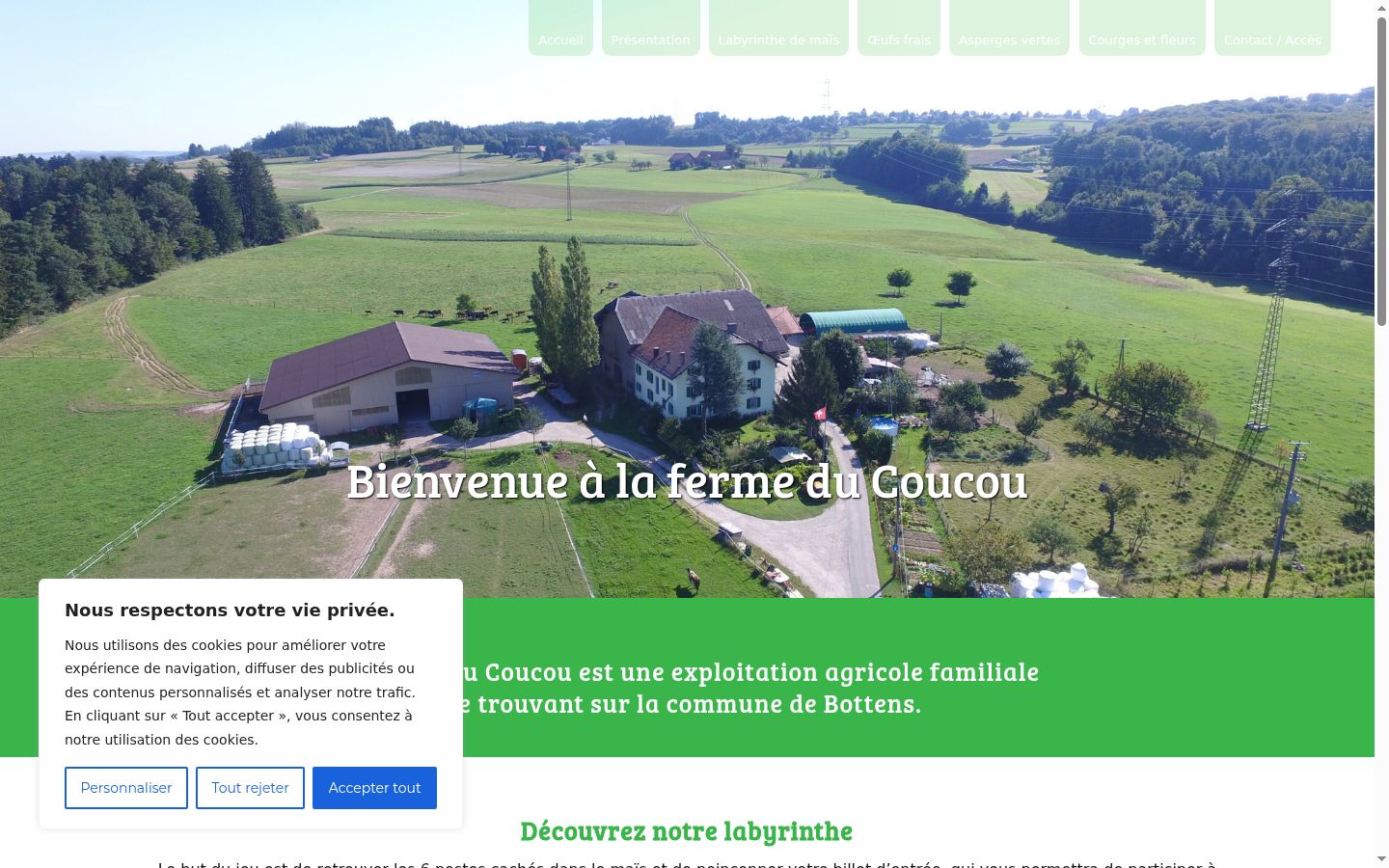 Screenshot of the consent banner shown before any interaction