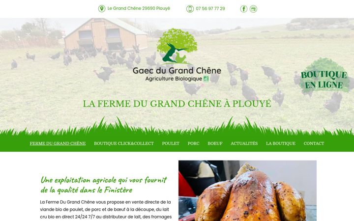 Screenshot of ferme-dugrandchene.fr