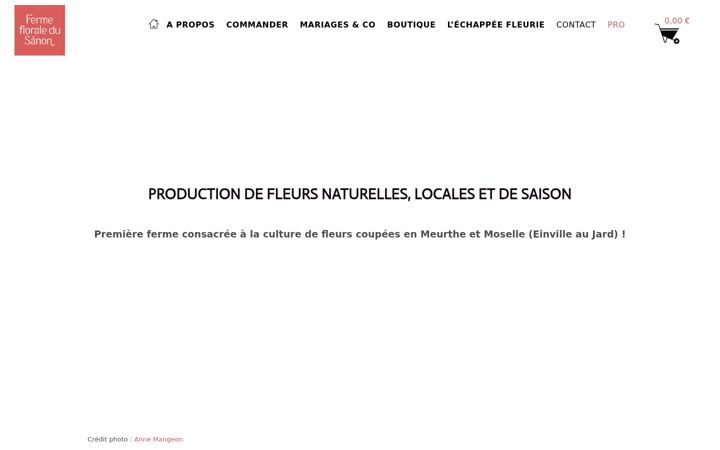 Screenshot of ferme-florale-sanon.com