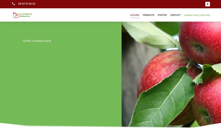 Screenshot of ferme-fruitiere-kehlbach.fr