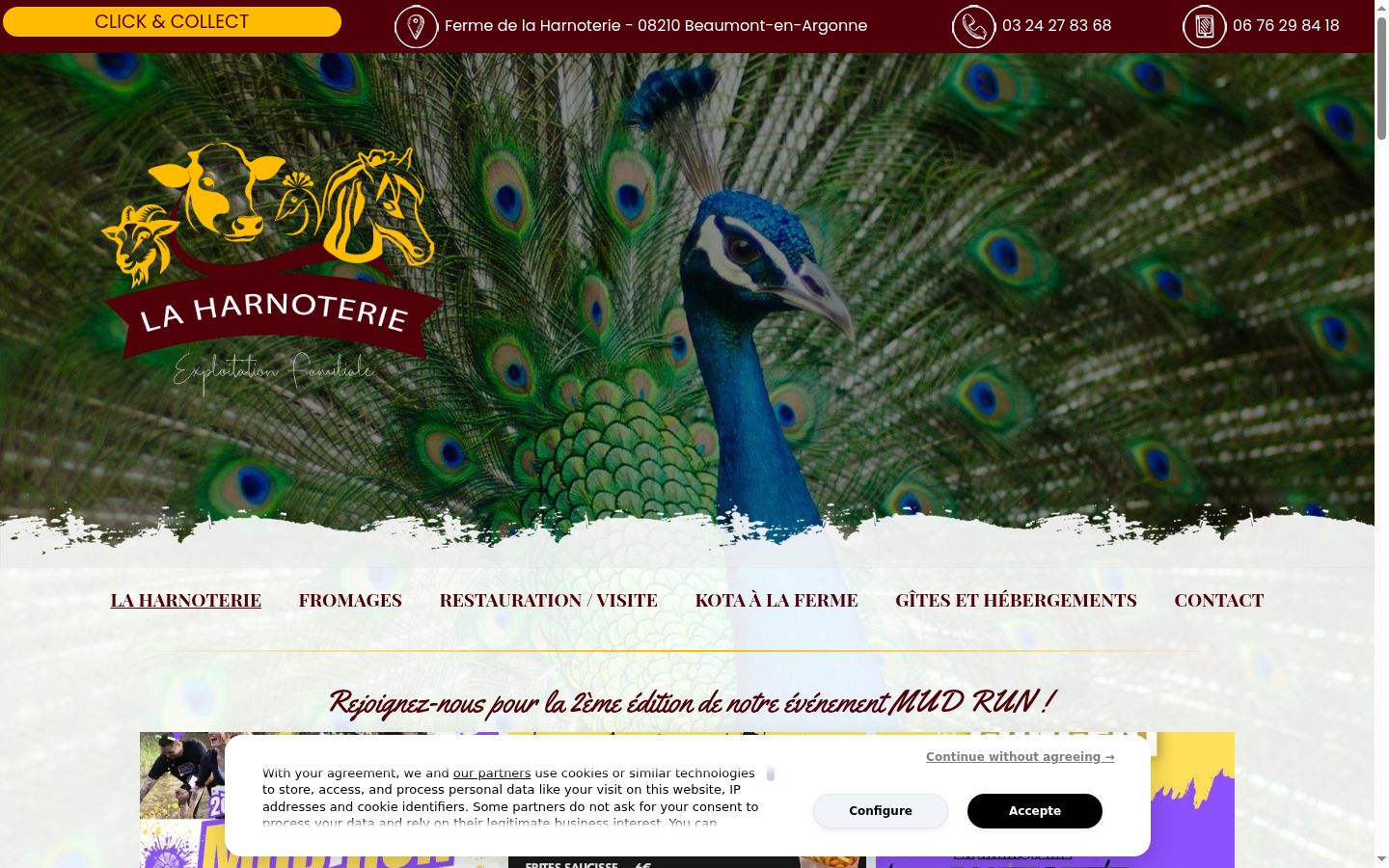 Screenshot del banner di consenso mostrato prima di qualsiasi interazione