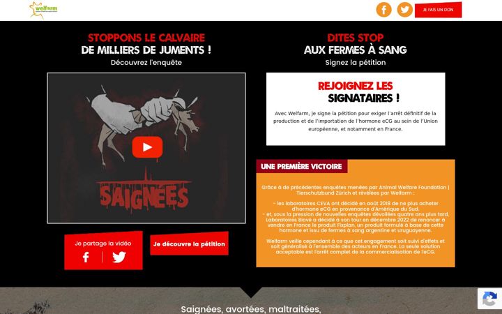 Screenshot of fermesasang.fr