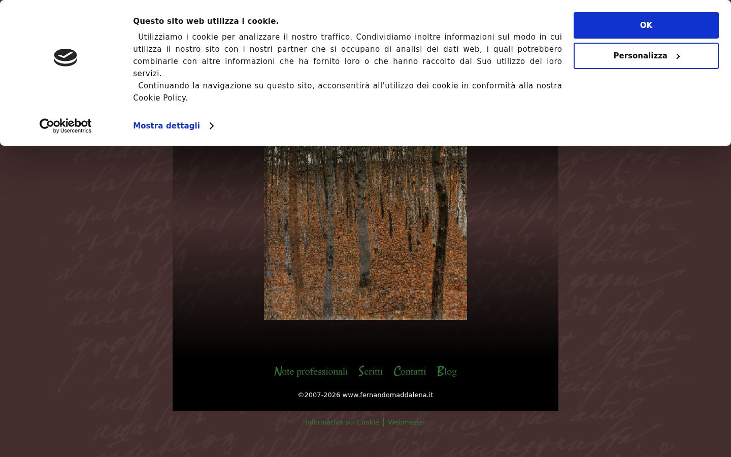 Captura de pantalla del banner de consentimiento mostrado antes de cualquier interacción