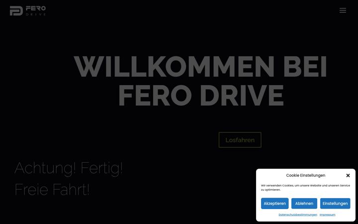 Screenshot of ferodrive.ch