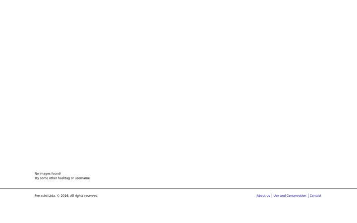 Screenshot of ferracini.com