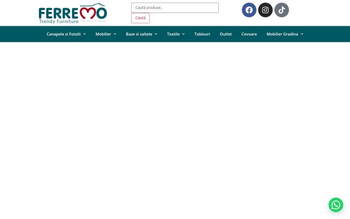 Screenshot of ferremo.ro
