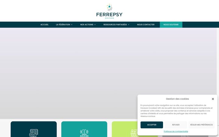 Screenshot of ferrepsy.fr