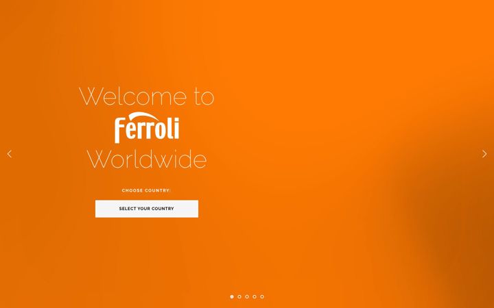 Screenshot of ferroli.com