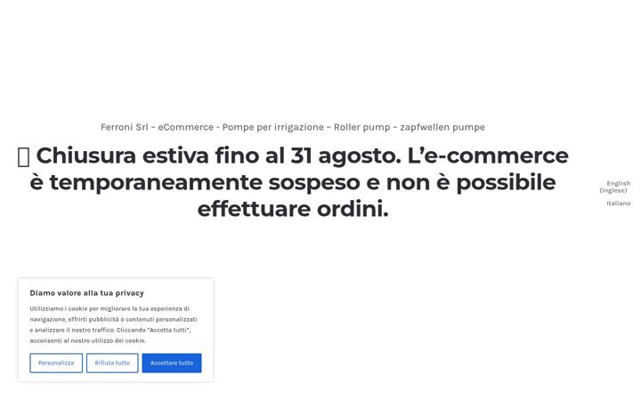 Screenshot of ferroni.srl