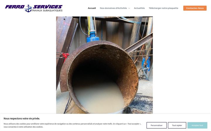 Screenshot of ferroservices.fr