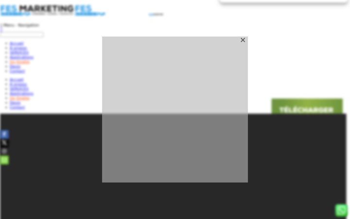 Screenshot of fes-marketing.net