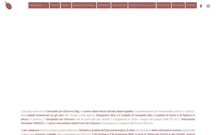 Screenshot of festadeifrantoi.it