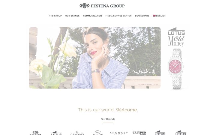 Zrzut ekranu festinagroup.com