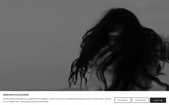 Screenshot of festivaldanzahra.com