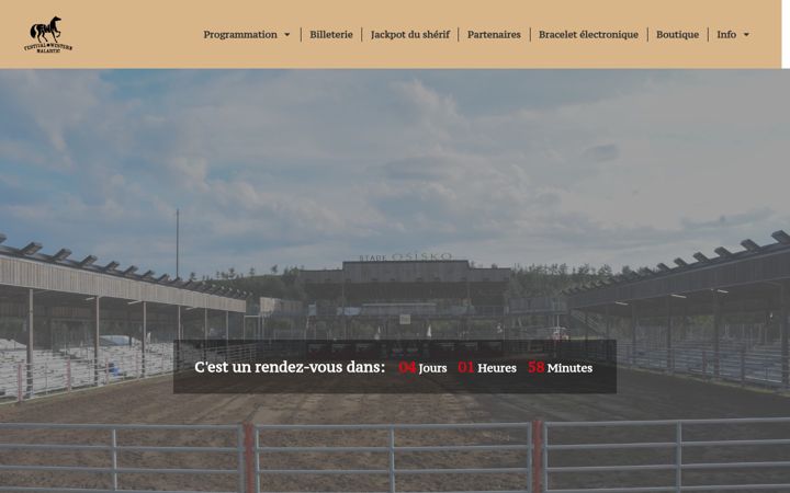 Screenshot of festivalwesternmalartic.com