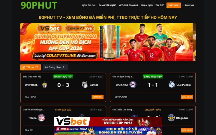 Screenshot of festra.com