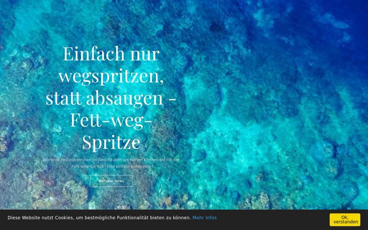 Screenshot of fett-weg-spritze.net