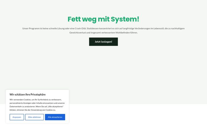 Screenshot of fett-weg-system.info
